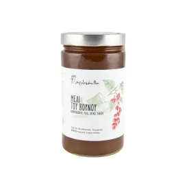 Μέλι του βουνού, Μελισάνθη, 980gr